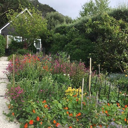 Hahei Kereru Cottage Eksteriør bilde
