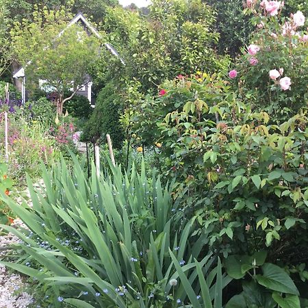 Hahei Kereru Cottage Eksteriør bilde