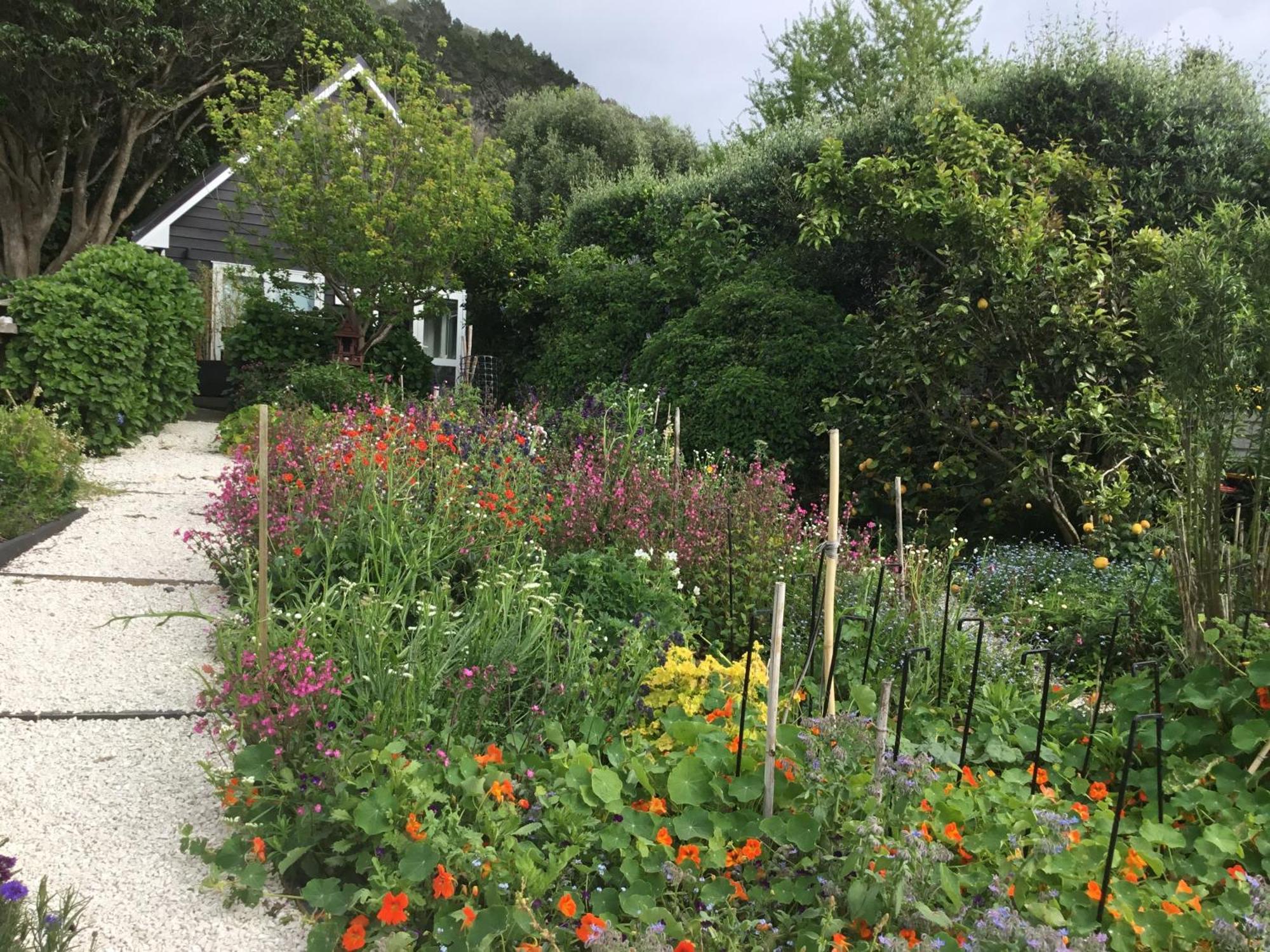 Hahei Kereru Cottage Eksteriør bilde